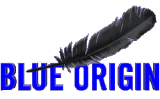 Trasporto Spaziale - Ricerca Blue Origin 