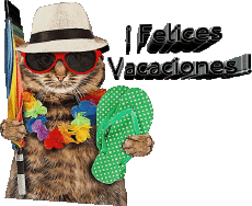 Messages Spanish Felices Vacaciones Transparent Background 30 