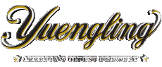 Bebidas Cervezas USA Yuengling 