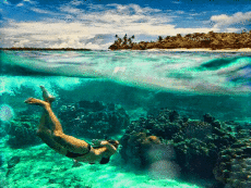 Humour - Fun GIF Artistes THE GLITCH 