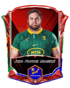 Deportes Rugby - Jugadores Africa del Sur Equipo 2025 Jozua Francois Malherbe 