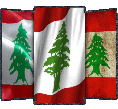 Drapeaux Asie Liban Forme 