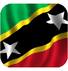 Flags America Saint Kitts and Nevis Square 2 