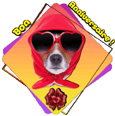 Messagi Francese Bon Anniversaire Animaux 012 