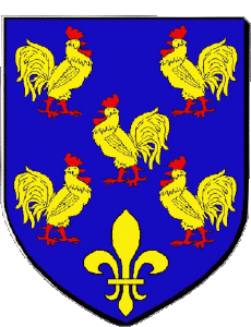 Fahnen Frankreich Abteilungen - Städte 43 YSSINGEAUX 