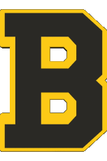 1936-Sports Hockey - Clubs U.S.A - N H L Boston Bruins 1936