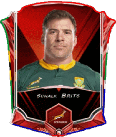 Sports Rugby - Joueurs Afrique du Sud Schalk Brits 