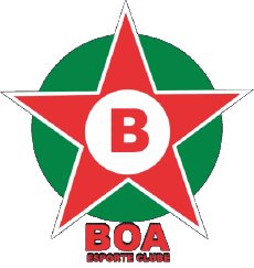 Sportivo Calcio Club America Logo Brasile Minas Gerais Boa Esporte Clube 