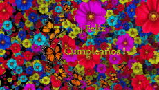 Messagi Spagnolo Feliz Cumpleaños Mariposas Sfondo animato 002 