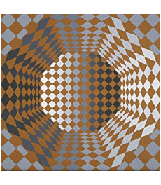 Humor -  Fun Artists Painter Victor Vasarely 