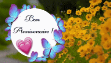 Messages Français Bon Anniversaire Papillons Fond Animé 004 