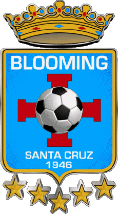 Sportivo Calcio Club America Bolivia Club Social, Cultural y Deportivo Blooming 