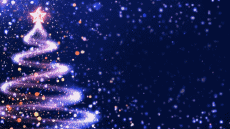 Nachrichten Französisch Bonnes Fêtes (Noël) Video 