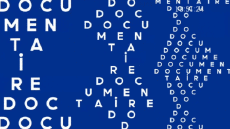 Multi Media Channels - TV France T18 Jingle lancement 