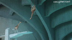 Humor - Fun Animales Jirafas 01 