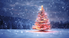 Mensajes Francés Joyeuses Fêtes (Noël) Video 