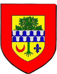 Bandiere Francia Dipartimenti - Città 93 LE RAINCY 