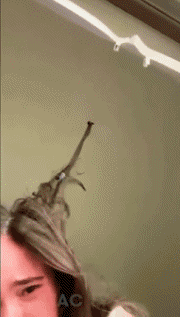 Humor -  Fun MENSCHEN Friseurhaare Serie 01 