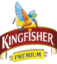Boissons Bières Inde Kingfisher 