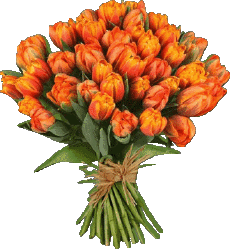 Nachrichten Italienisch Buon Compleanno Floreale Transparenter Hintergrund 012 