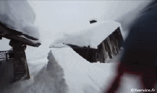 Humor -  Fun Sport Snowboard Fun - Win 