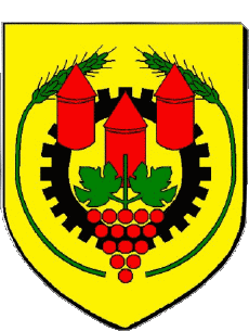 Blason-Drapeaux France Départements - Villes 37 ESVRES 