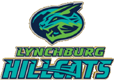 Sportivo Baseball U.S.A - Carolina League Lynchburg Hillcats 