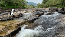 Humour - Fun GIF Artistes @Eclectech 