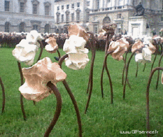 Humor - Fun Efectos 3d Stéreoscopique Wiggle 