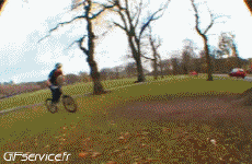 Humor -  Fun Sport Mountainbiking Fun - Win 