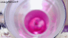 Humor -  Fun Tiere Hamster 01 