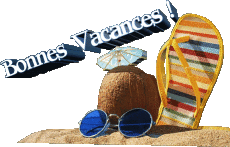 Mensajes Francés Bonnes Vacances Fondo transparente 14 