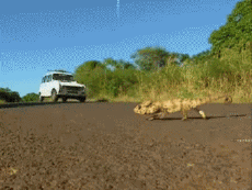 Multimedia Canales - TV Francia Voyage Jingle Pub 