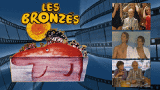 Multi Media Movie France Les Bronzés Multi 