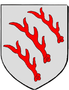 Banderas Francia Departamentos - Ciudades 57 SARREBOURG 