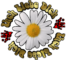 Nachrichten Deutsche Ich Liebe Dich 04 