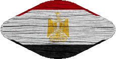 Flags Africa Egypt Oval 02 