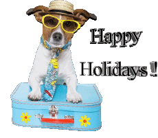 Mensajes Inglés Happy Holidays Fondo transparente 29 