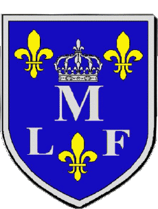 Blason-Drapeaux France Départements - Villes 45 MONTARGIS 