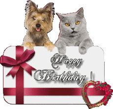 Mensajes Inglés Happy Birthday Animals 005 