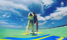 Humor - Fun Animales Perros 04 