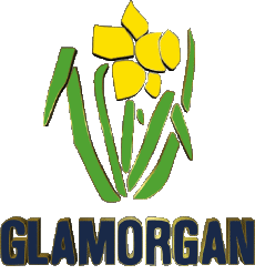 Sportivo Cricket Regno Unito Glamorgan County 