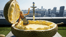 Humor -  Fun A.I Mix Dream Showers 