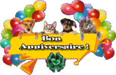 Messages French Bon Anniversaire Animaux 007 