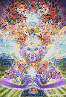 Umorismo -  Fun Effetti 3d Stéreoscopique Wiggle 