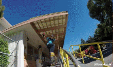 Humour - Fun Sports Skateboard Free Style Fun - Win 01 