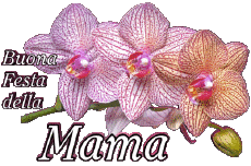 Nachrichten Italienisch Buona Festa della Mamma 05 