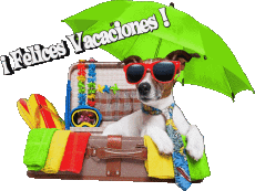 Nachrichten Spanisch Felices Vacaciones Transparenter Hintergrund 11 