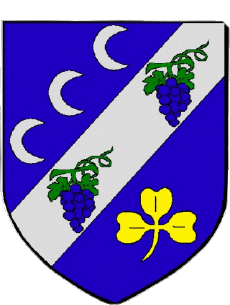 Blason-Drapeaux France Départements - Villes 58 COULANGES LES NEVERS Blason