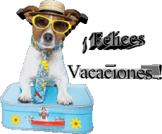 Messages Espagnol Felices Vacaciones Fond Transparent 29 